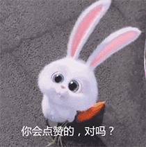 鉴定优质经验项目怎么写_鉴定优质经验项目的意义_如何鉴定优质项目经验