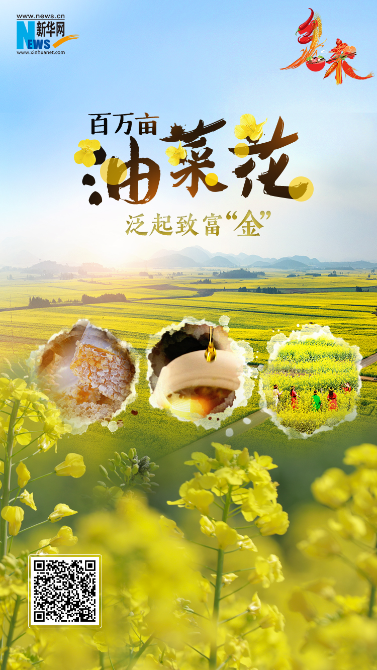 致富养殖养蜂视频_养蜂致富真的可以吗_养蜂养殖致富