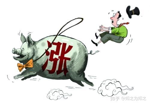 新手准备养殖鸭子 有什么问题需要注意 ？