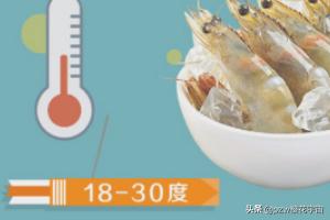 鸡尾虾养殖技术_养殖鸡尾虾怎么样_虾养殖鸡尾技术视频教程