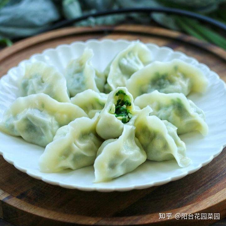 种植韭王技术视频教程_韭王种植技术_韭王种植视频