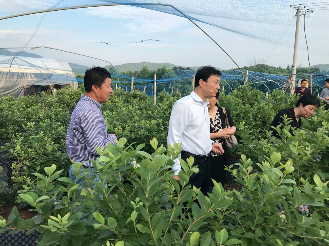 养殖石蛙技术视频_福建石蛙养殖技术_石蛙养殖前景和利润