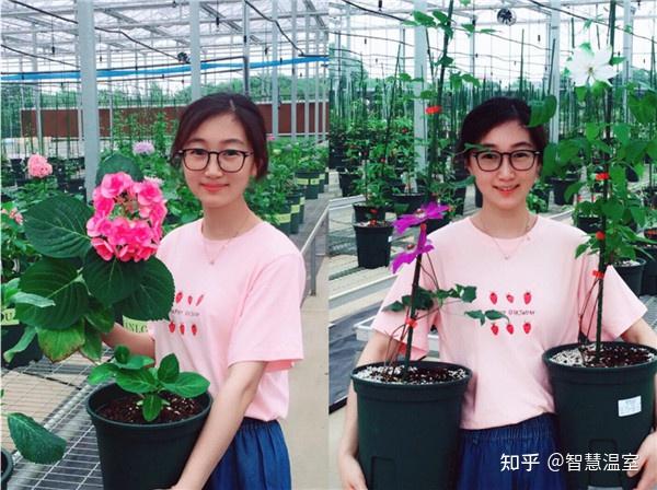 空房种植致富新闻_新闻致富种植空房怎么写_致富新闻网