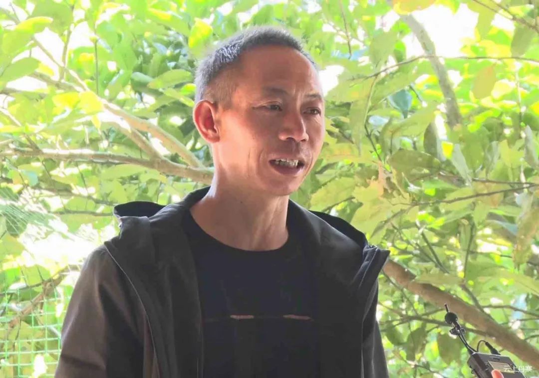 林下天麻种植致富_天麻种植投资及利润_天麻林下种植实施方案