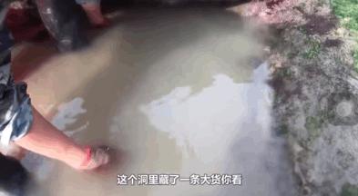 致富浑水摸鱼游戏_致富经浑水摸鱼_浑水摸鱼才叫赚钱