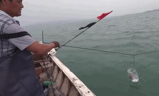 致富经浑水摸鱼_浑水摸鱼才叫赚钱_致富浑水摸鱼游戏