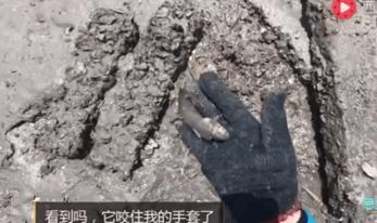 致富浑水摸鱼游戏_浑水摸鱼才叫赚钱_致富经浑水摸鱼