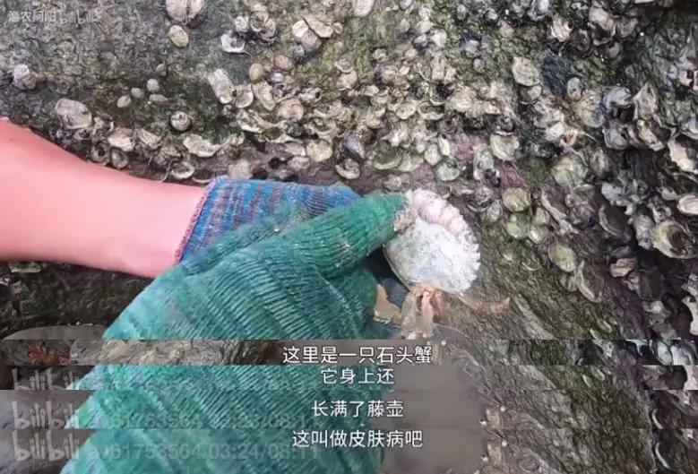 致富经浑水摸鱼_浑水摸鱼才叫赚钱_致富浑水摸鱼游戏