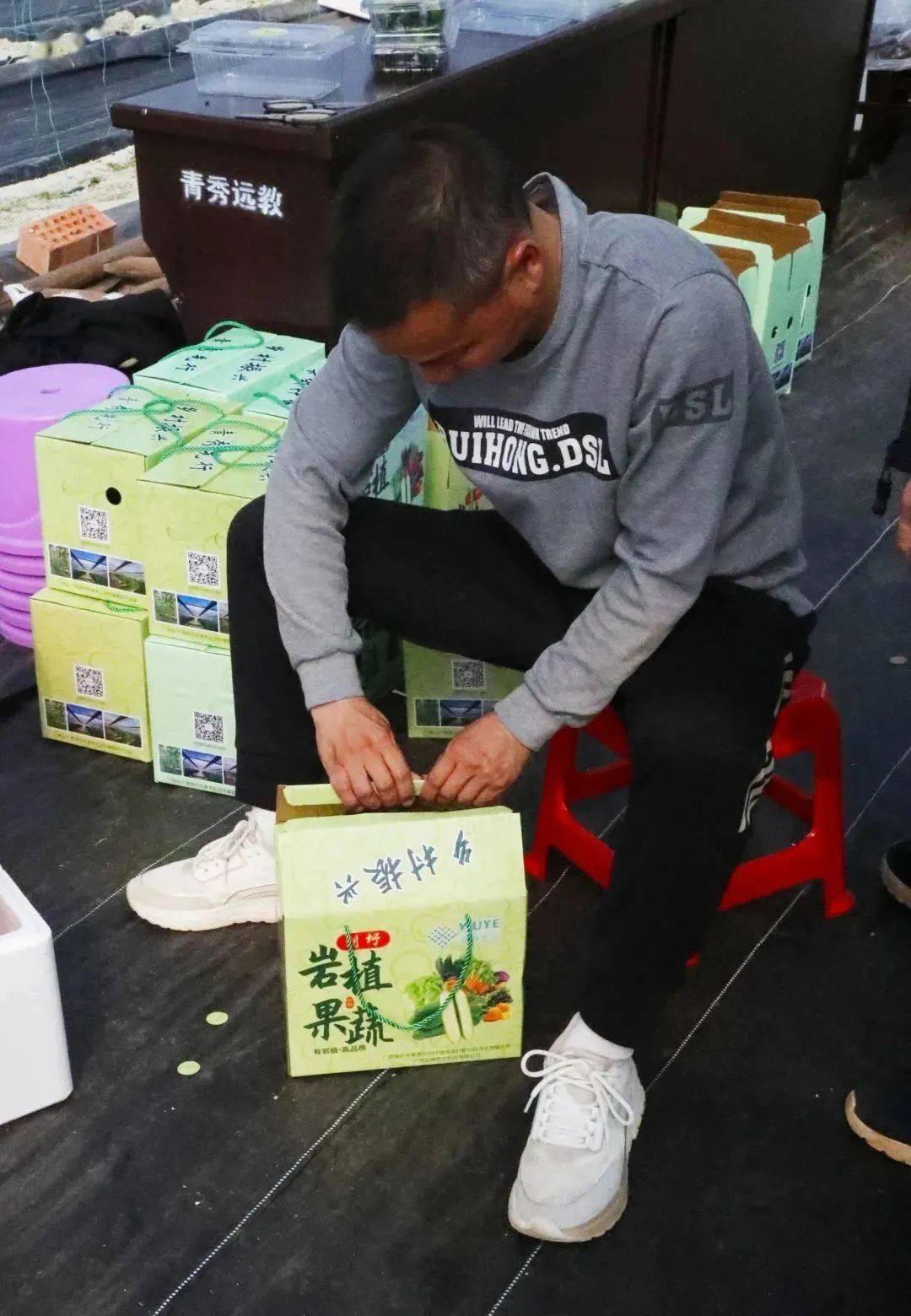 农业种植技术视频大全_农业种植视频教学视频网_农业种植新技术视频