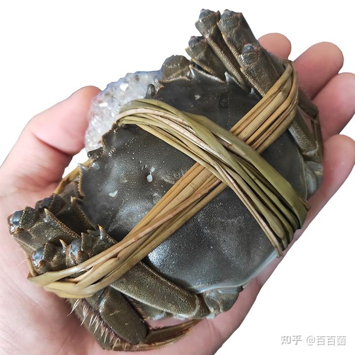 水产养殖养殖技术_养殖水产技术现状调查_养殖水产技术最出名的几个企业