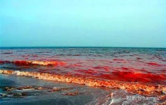 网箱养殖草鱼技术视频_澳耗网箱养殖技术_网箱养殖海参技术