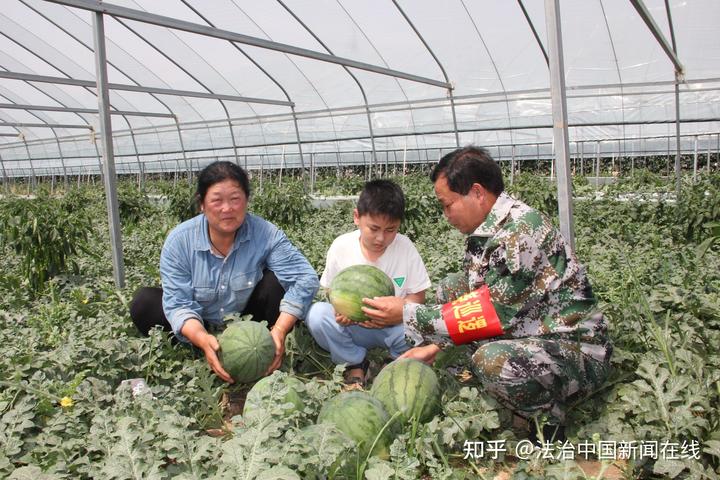 瓜种植时间和方法_致富瓜种植_瓜娄种植利润