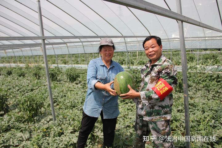 瓜种植时间和方法_致富瓜种植_瓜娄种植利润
