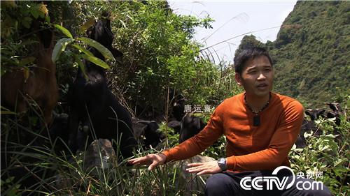 [致富经]打工多年无积蓄 借来四万发羊财 20160805