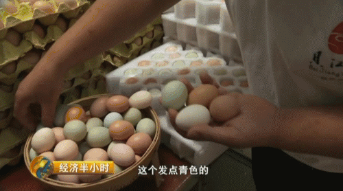 鸡蛋加工项目_鸡蛋加工厂视频_致富经鸡蛋加工