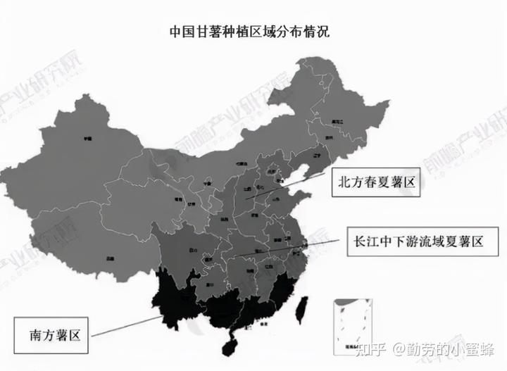 二、红薯产量及进出口数据分析