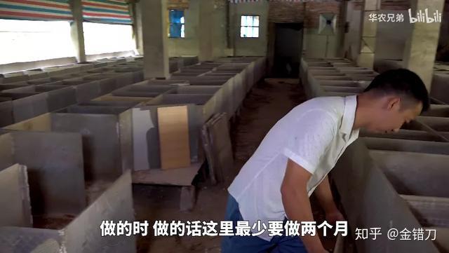 养殖蜂蜜致富带头人的话_致富经养蜜蜂致富视频_致富经土蜂蜜养殖