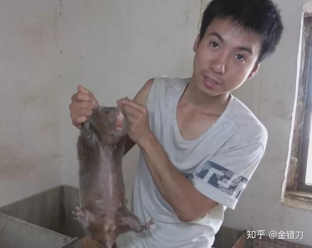 养殖蜂蜜致富带头人的话_致富经土蜂蜜养殖_致富经养蜜蜂致富视频