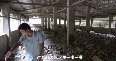 致富经养蜜蜂致富视频_养殖蜂蜜致富带头人的话_致富经土蜂蜜养殖