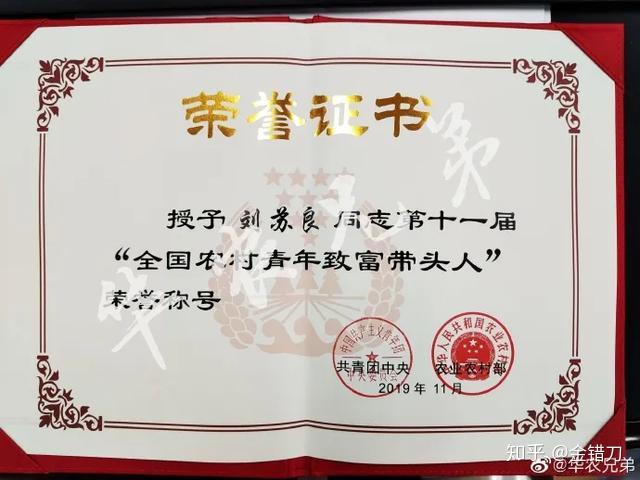 致富经土蜂蜜养殖_致富经养蜜蜂致富视频_养殖蜂蜜致富带头人的话