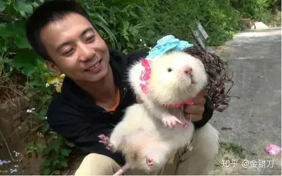 养殖蜂蜜致富带头人的话_致富经土蜂蜜养殖_致富经养蜜蜂致富视频