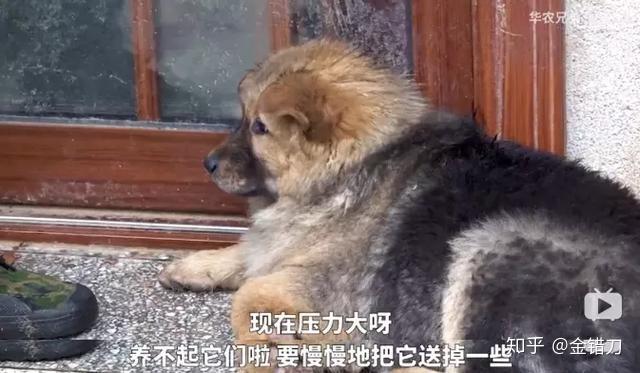 致富经养蜜蜂致富视频_养殖蜂蜜致富带头人的话_致富经土蜂蜜养殖