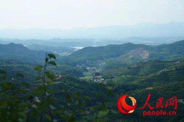 中央7致富经养驴视频_致富经麂子养殖_中央七台致富经养麂子