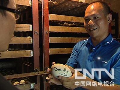 致富经天鹅_致富经鹅_致富经养鹅真实例子