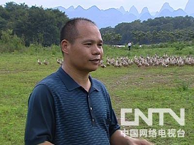 致富经养鹅真实例子_致富经鹅_致富经天鹅