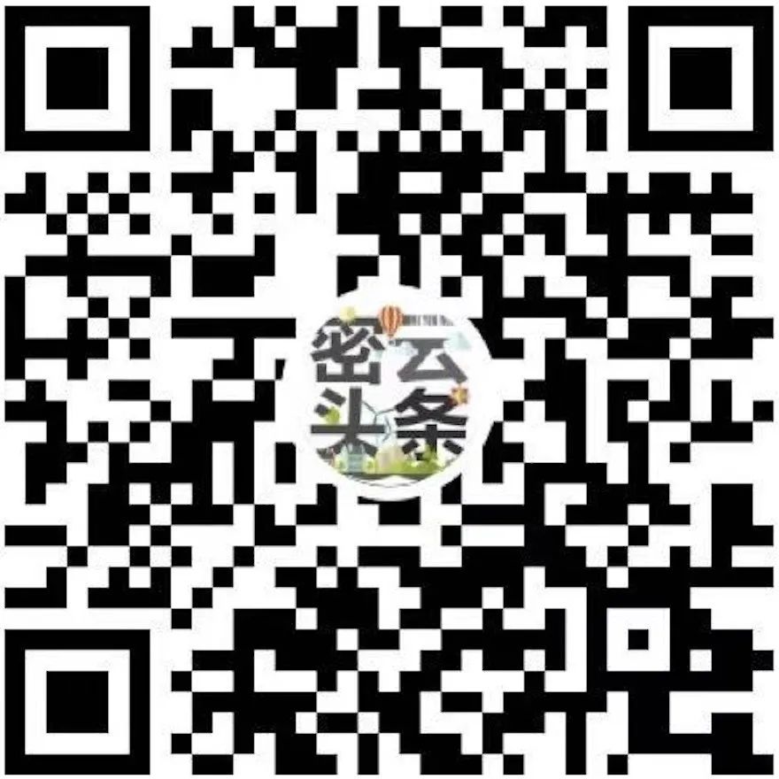 温室香椿亩种植多少棵_温室香椿种植技术视频_温室大棚香椿种植技术