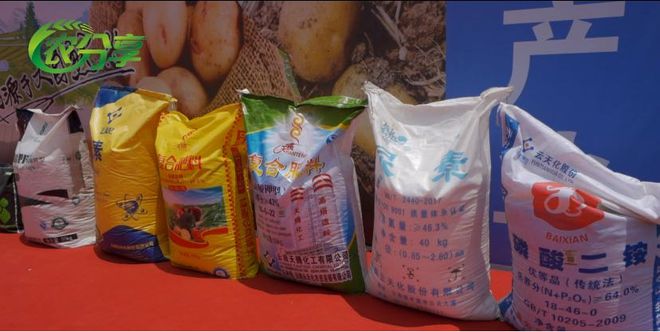 种植土豆致富之路_致富经土豆种植视频_土豆种植赚钱吗