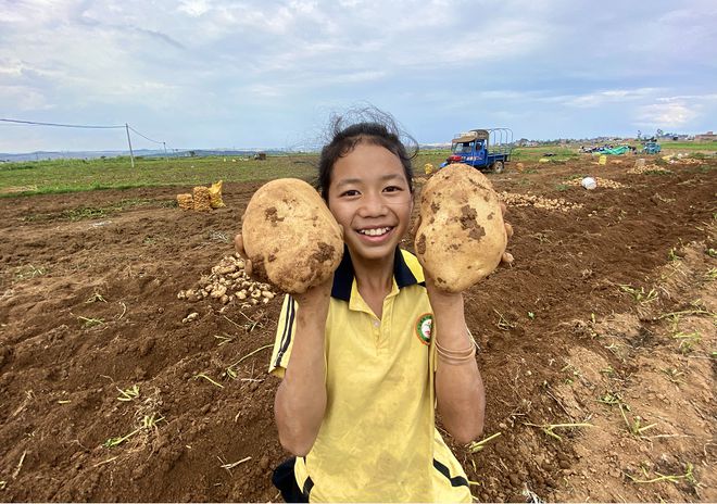 致富经土豆种植视频_种植土豆致富之路_土豆种植赚钱吗