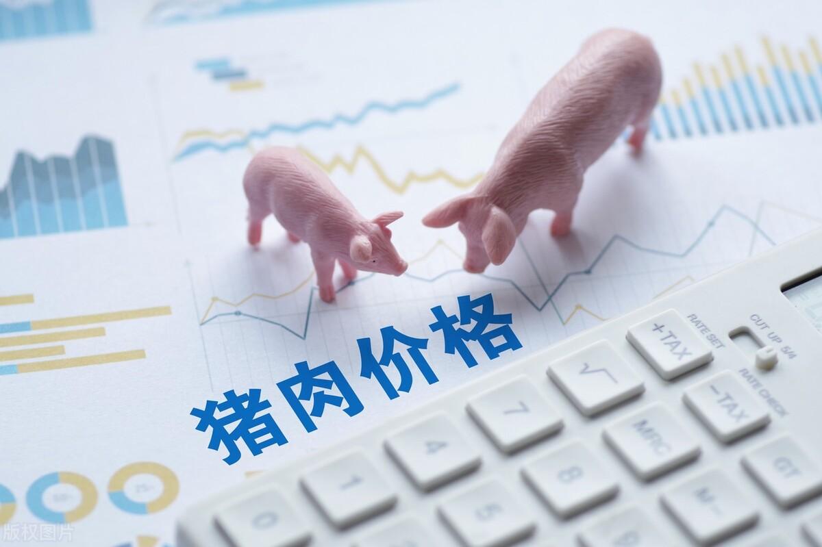 中国养殖致富政策_养殖致富之路_养殖致富经