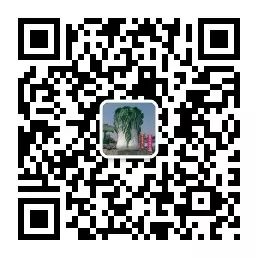 香椿大棚种植技术_温室香椿种植技术视频_大棚种植香椿技术视频