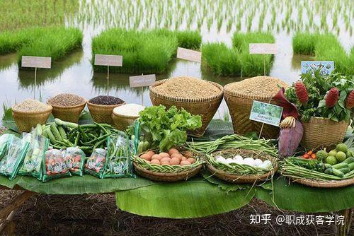特色农产品推广方案，怎么将自己地方特色销售出去