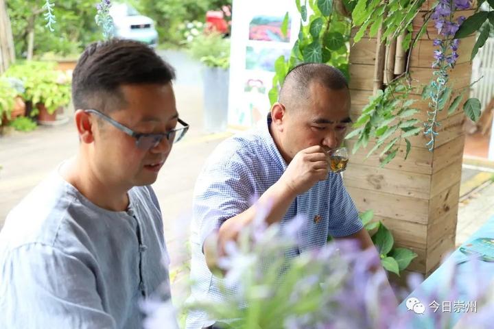 致富种植推广文案_推广种植致富_致富种植推广语