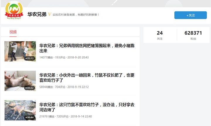 致富经》怎样养竹鼠_养殖竹鼠_致富经竹鼠养殖视频