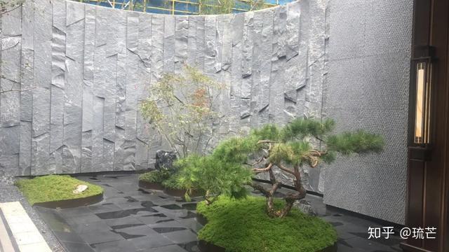 致富竹子养殖技术视频_竹子养殖致富_竹子致富项目