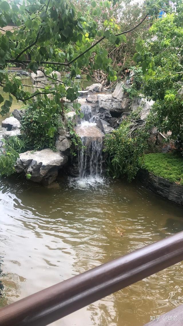 竹子养殖致富_致富竹子养殖技术视频_竹子致富项目