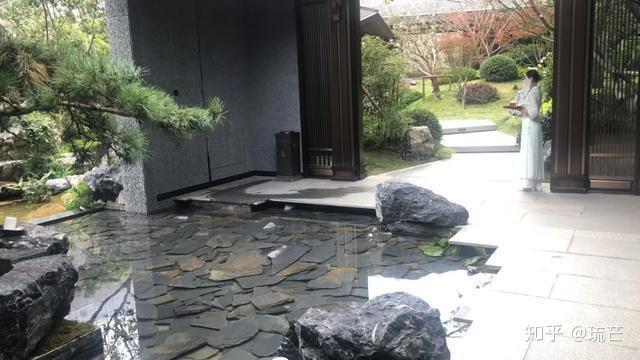 竹子养殖致富_致富竹子养殖技术视频_竹子致富项目