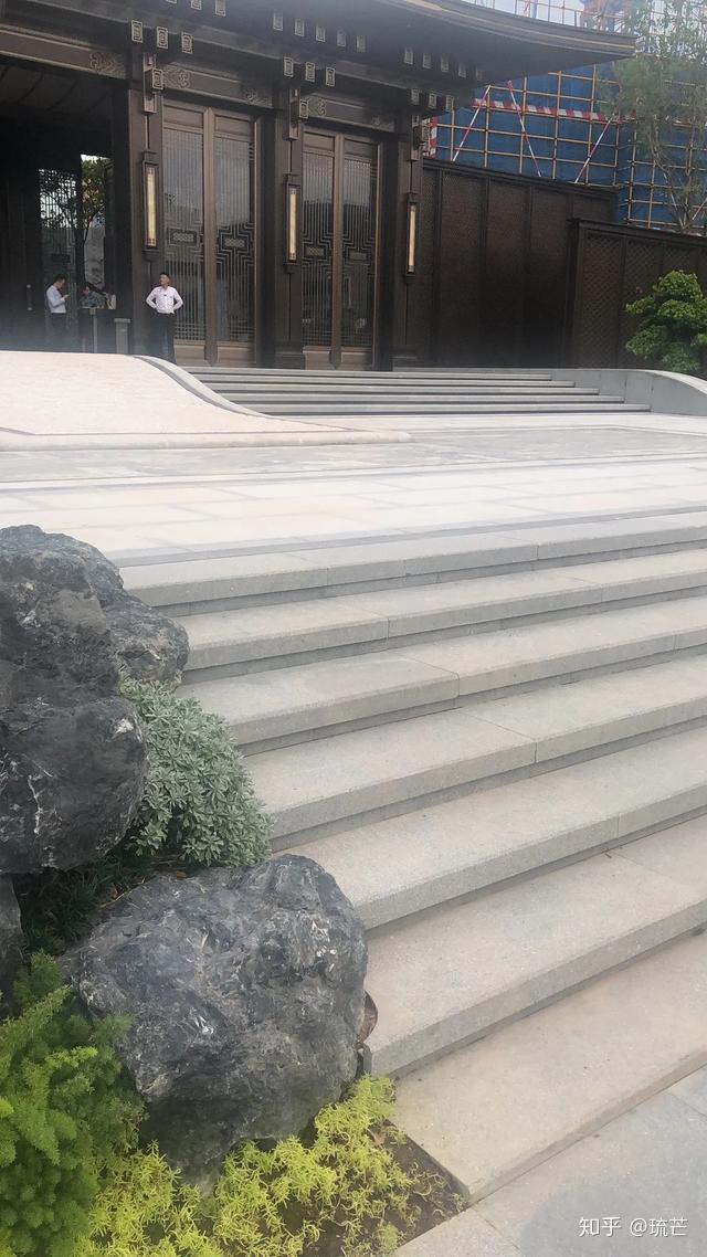 竹子致富项目_致富竹子养殖技术视频_竹子养殖致富