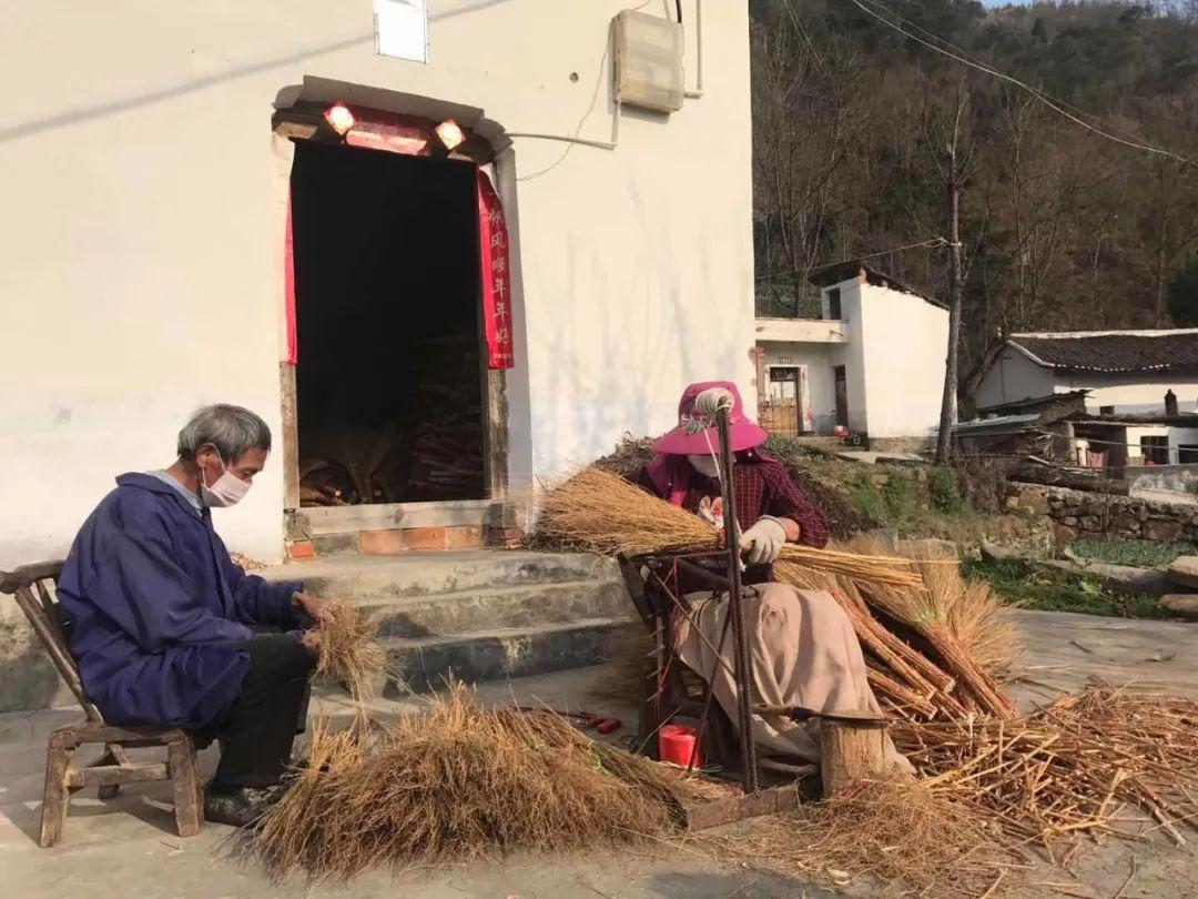中国养殖致富政策_致富养殖项目_养殖致富经