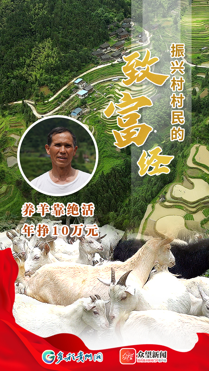 振兴村村民的致富经：养羊靠绝活 年挣10万元