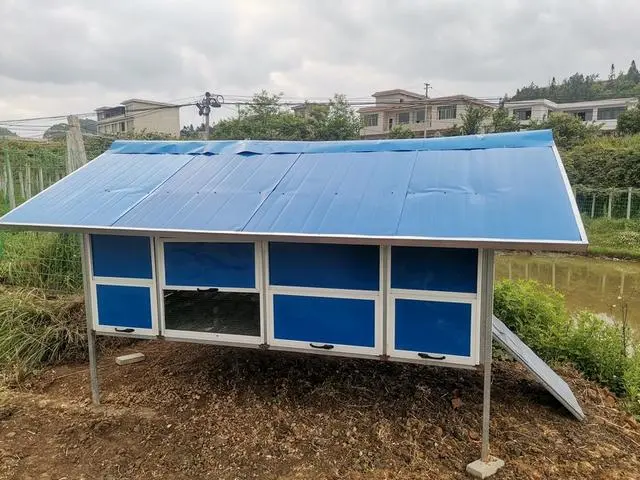 登封肉鸡养殖大棚技术_林下养殖技术_林下养殖手续