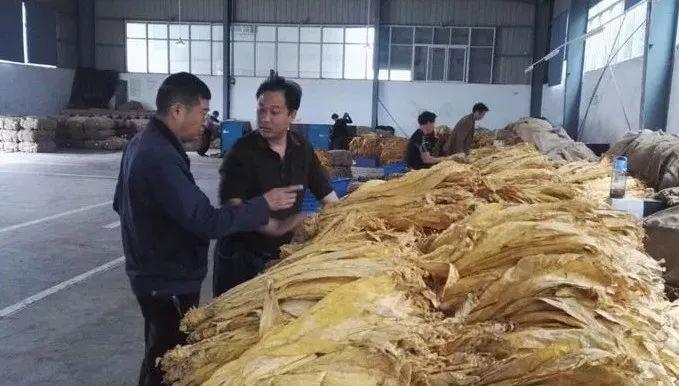 湖北省中药材种植扶贫致富_湖北中药种植合作项目_湖北省中药种植项目有补贴