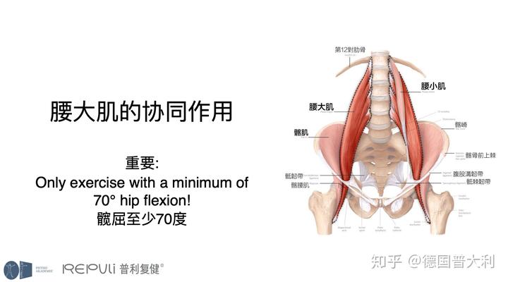 优质晨间锻炼分享经验_晨间锻炼内容指导要点_晨间锻炼思考与困惑