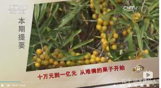 黑龙江的水貂养殖场_致富黑龙江水貂是真的吗_致富经黑龙江水貂