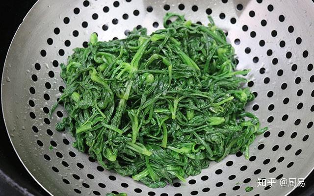 茼蒿怎样种植技术视频_茼蒿怎样种植技术视频_茼蒿怎样种植技术视频