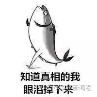 小鱼小虾养殖技术_小鱼养殖小虾技术要点_小鱼养虾视频