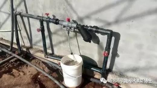 地爬黄瓜的种植技术_满地爬黄瓜种植技术_黄瓜苗爬藤